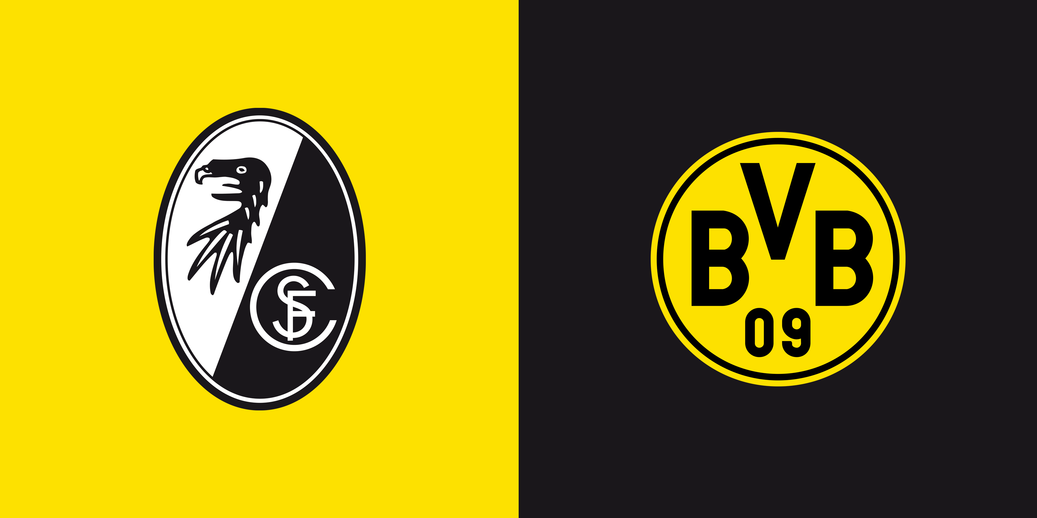 纸业项目（锅炉、纸桨用水)